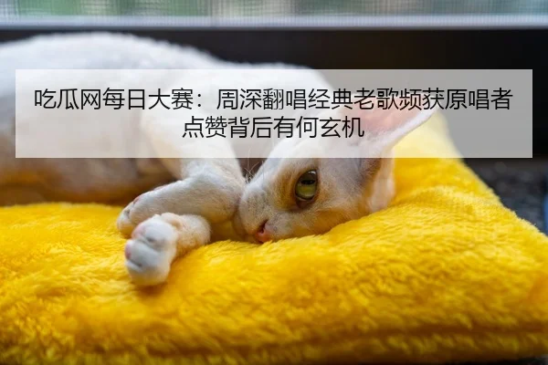 吃瓜网每日大赛：周深翻唱经典老歌频获原唱者点赞背后有何玄机